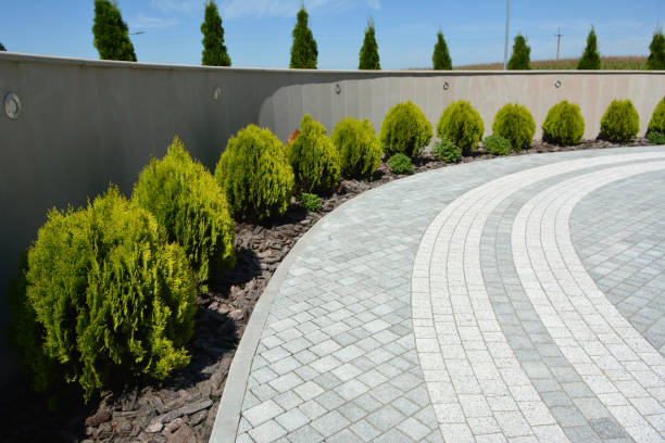 Professional Driveway Pavers in Hawkins, TX